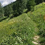 Adler Saas-Grund