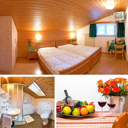 Hotel Adler 2*