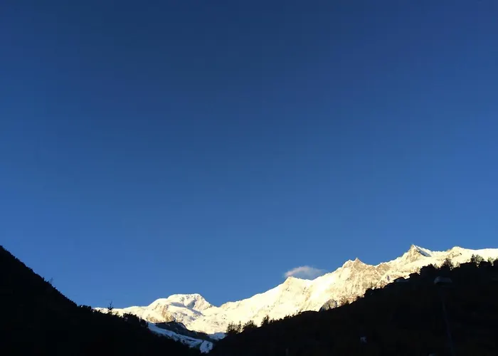 Adler Ξενοδοχείο 2*