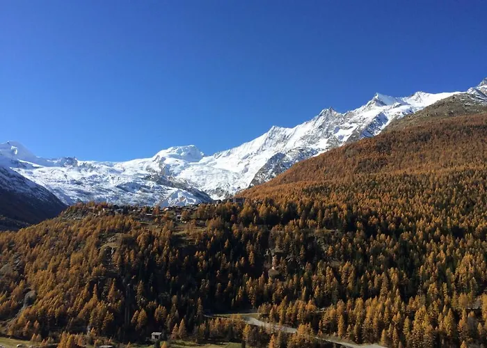 Ξενοδοχείο Adler 2*